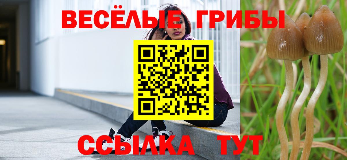 Ростов-на-Дону  Псилоцибиновые грибы Cubensis  Вход с VPN 